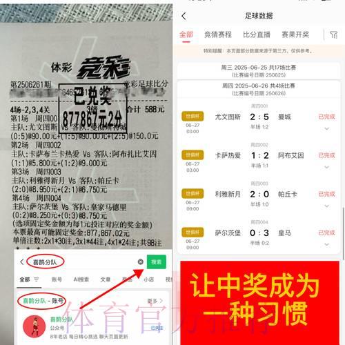 2026世界杯竞猜投注：那些年我踩过的坑与避雷实战指南